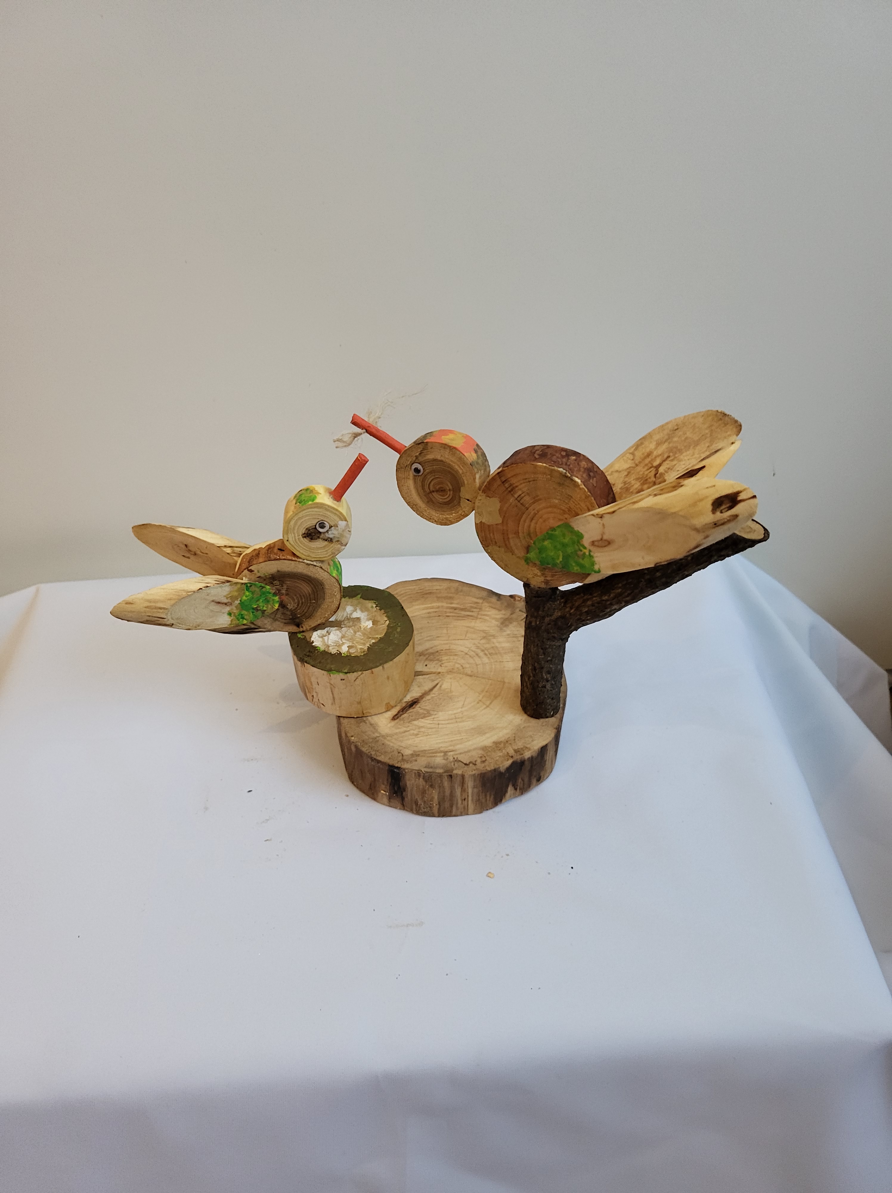 Vogelnest beim füttern – Bild 5