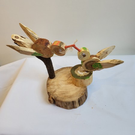 Vogelnest beim füttern