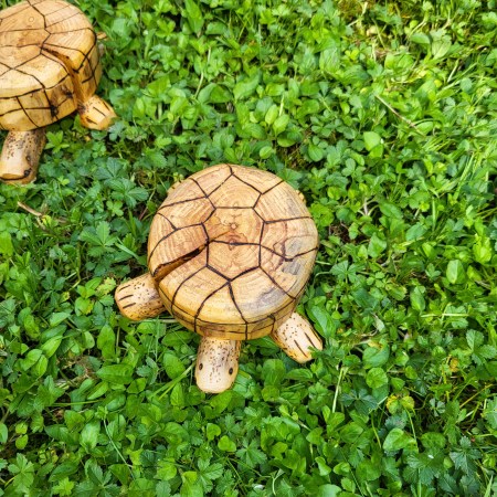 Schildkröte aus Naturholz