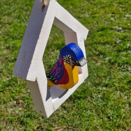 Vogel im Rahmen